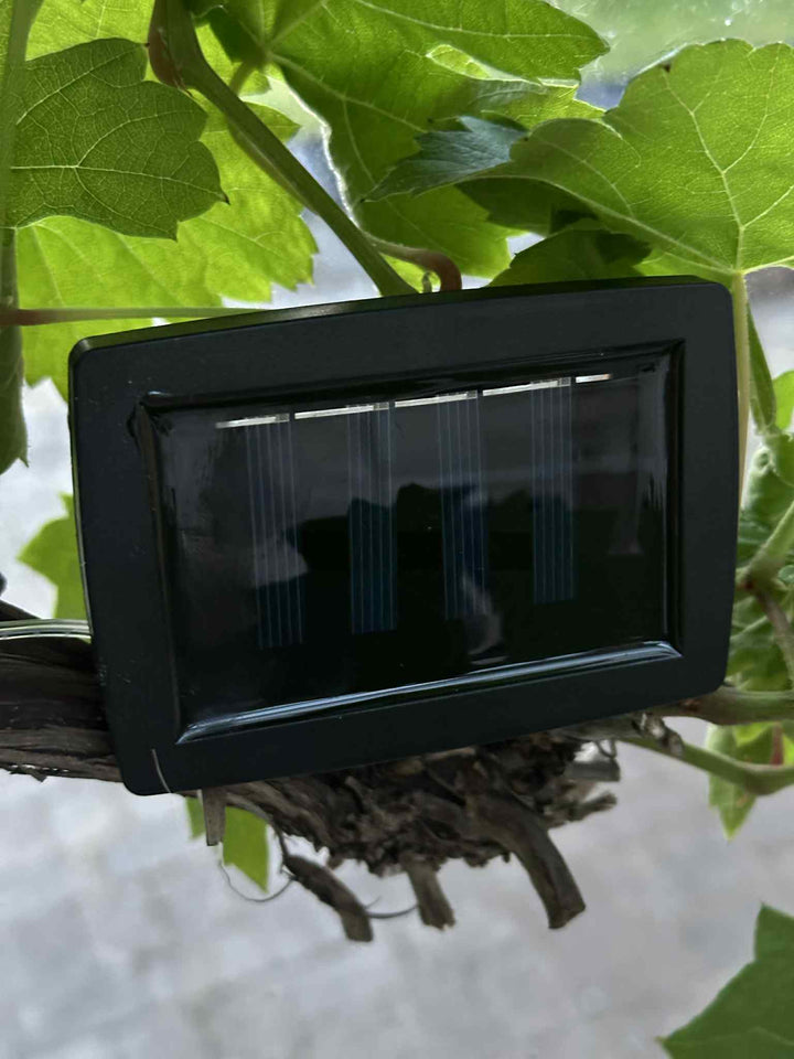 Laura™ – Guirlande LED solaire