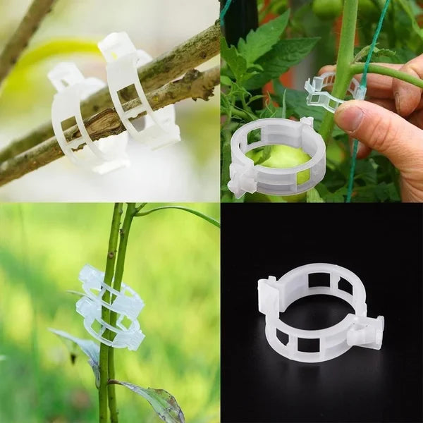 VineGrip™ – Clips de Soutien Réutilisables pour Plantes de Jardin