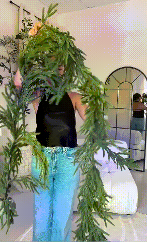 PineGrace™ Accento Festivo Eterno