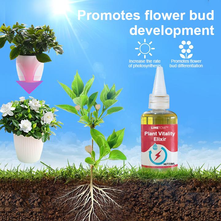 1+1 Gratuit | VitalBloom™ Renforce la Croissance des Plantes