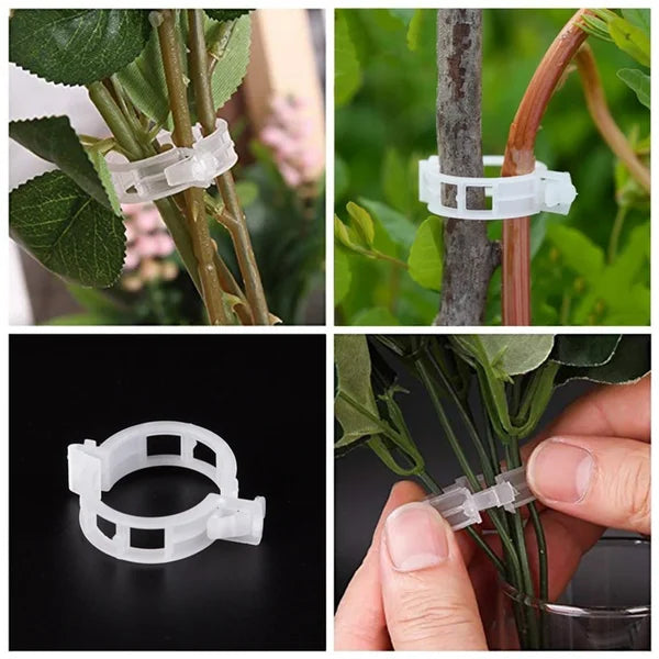VineGrip™ – Clips de Soutien Réutilisables pour Plantes de Jardin