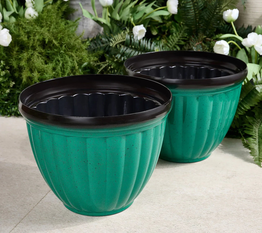 GreenNest™ Vie de Plantes Sans Soucis