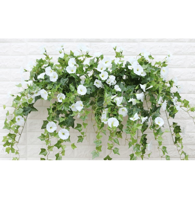 BloomGlory™ Fiori Mattutini Realistici