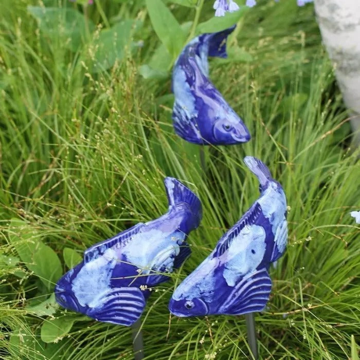 TranquilKoi™ Transforme l&