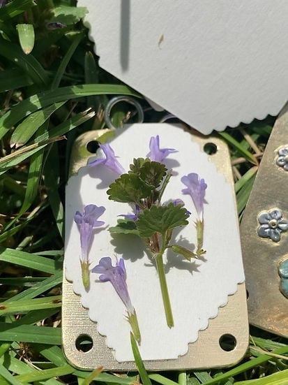 FloraPress™ Artigianato di Ricordi Botanici