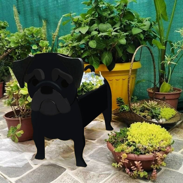 PetPottery™ Accent Heureux pour Maison