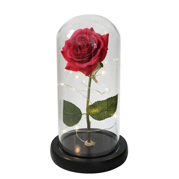 BloomAura™ Bellezza Eterna Illuminata