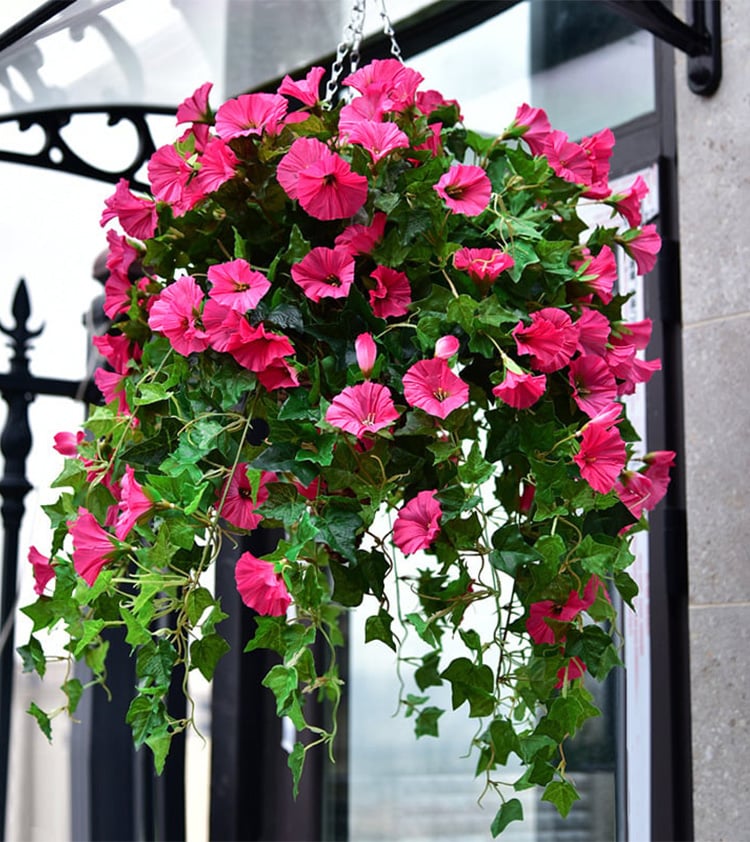 BloomGlory™ Fiori Mattutini Realistici