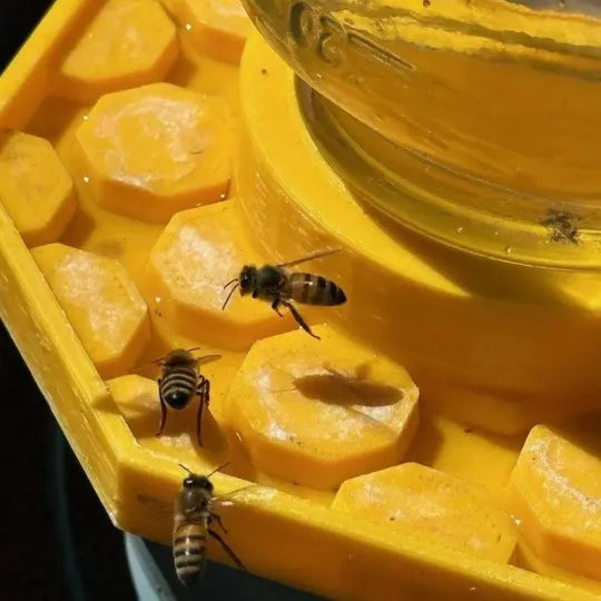 HiveDrink™ Hydrate la Vie des Pollinisateurs