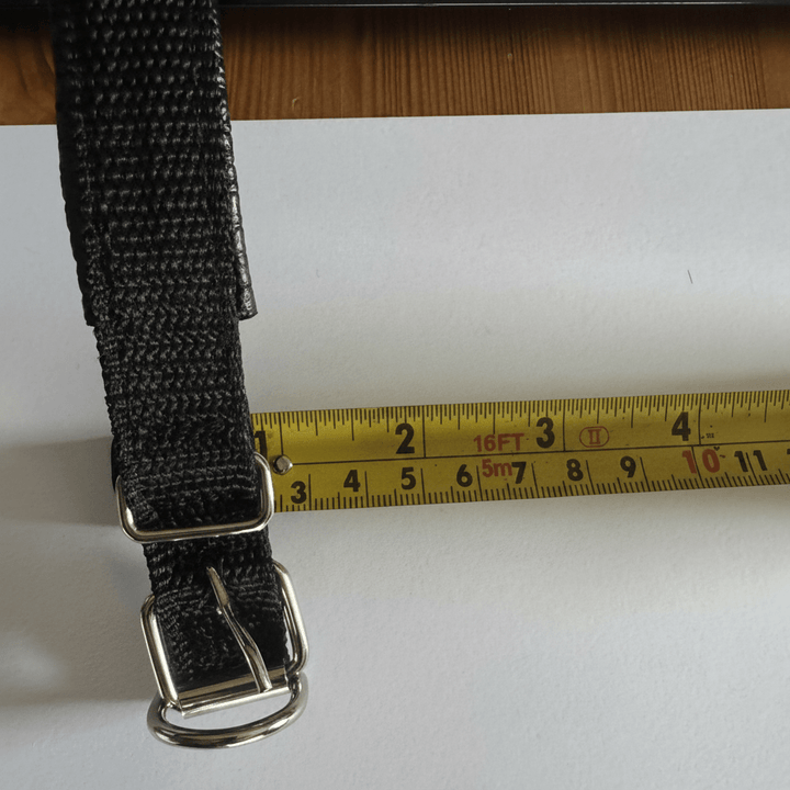 Tracker GPS per Gatti – Tracciamento in Tempo Reale Senza Abbonamento