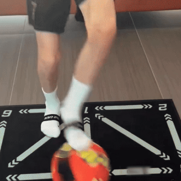 SpielFeld™ Assistente Tecnica Avanzata