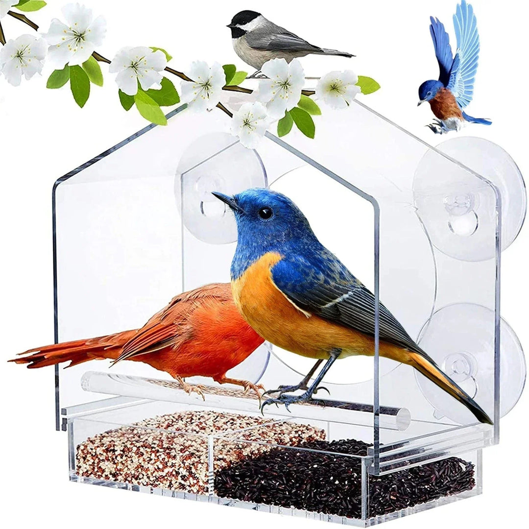Federspeiser™ Attira Più Uccelli