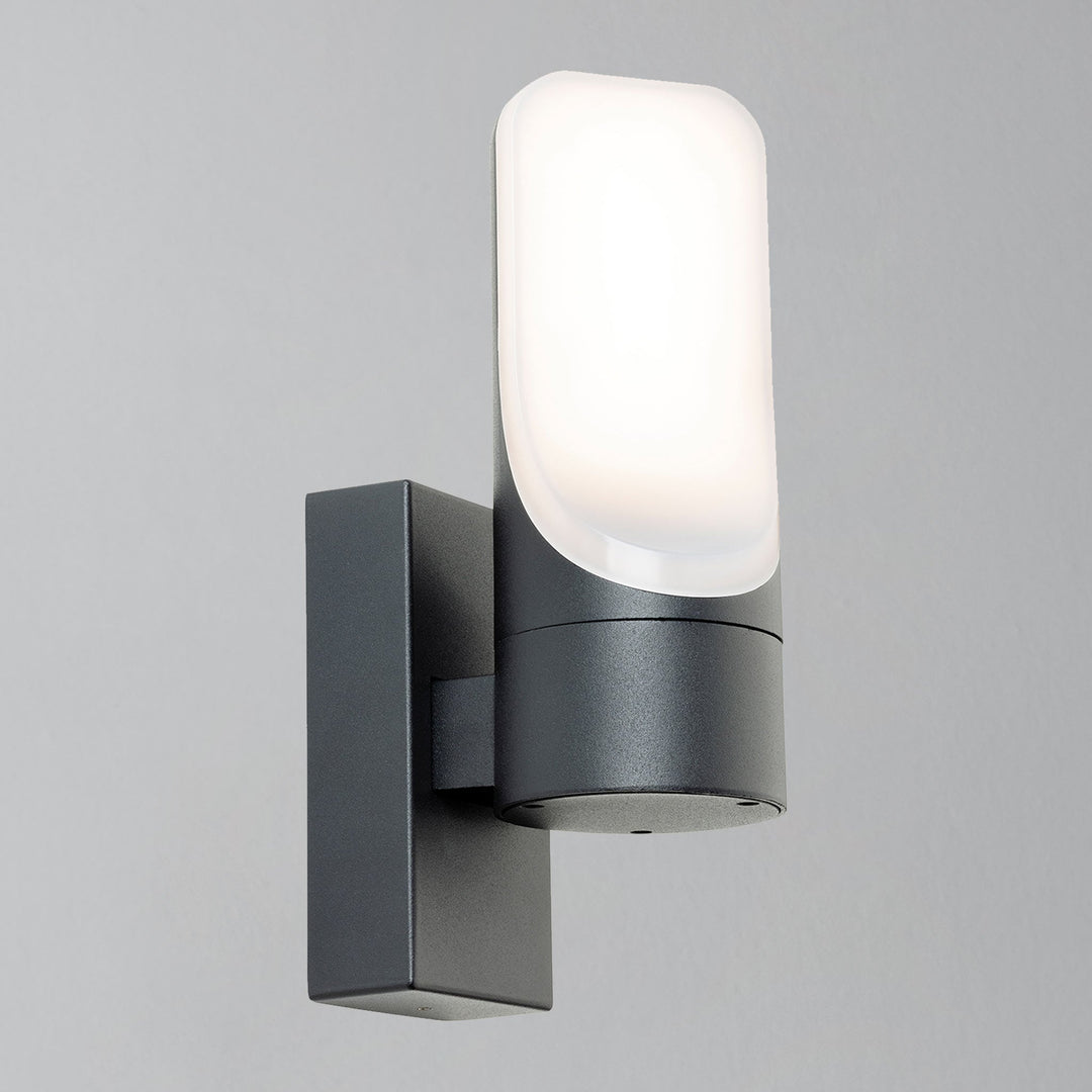Luce da parete LED da esterno Liona