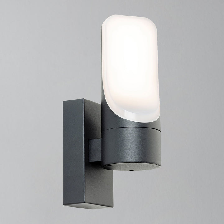 Luce da parete LED da esterno Liona