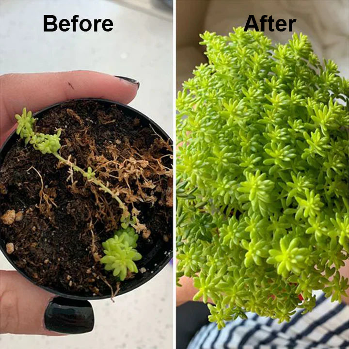 2+1 Gratuit | Récupération des Plantes Plus Rapide RootRise™