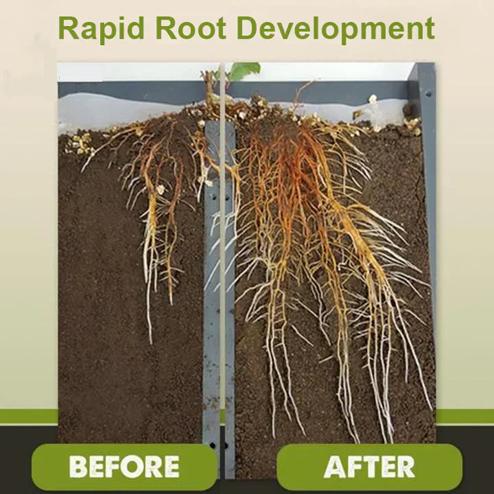 2+1 Gratuit | Récupération des Plantes Plus Rapide RootRise™