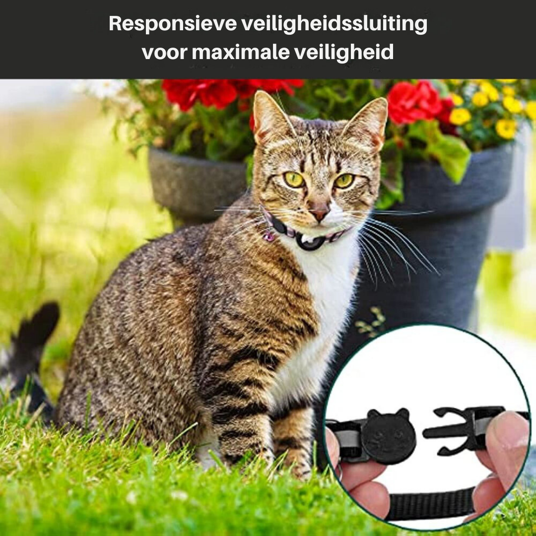 Collare GPS per Gatti con Design Riflettente