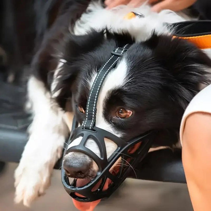 SafeBark • Museruola per Cani