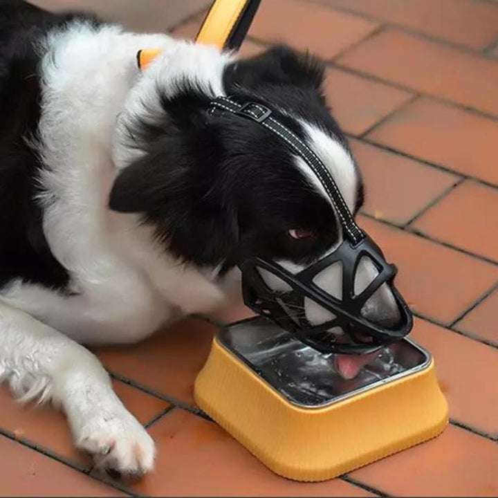 SafeBark • Museruola per Cani
