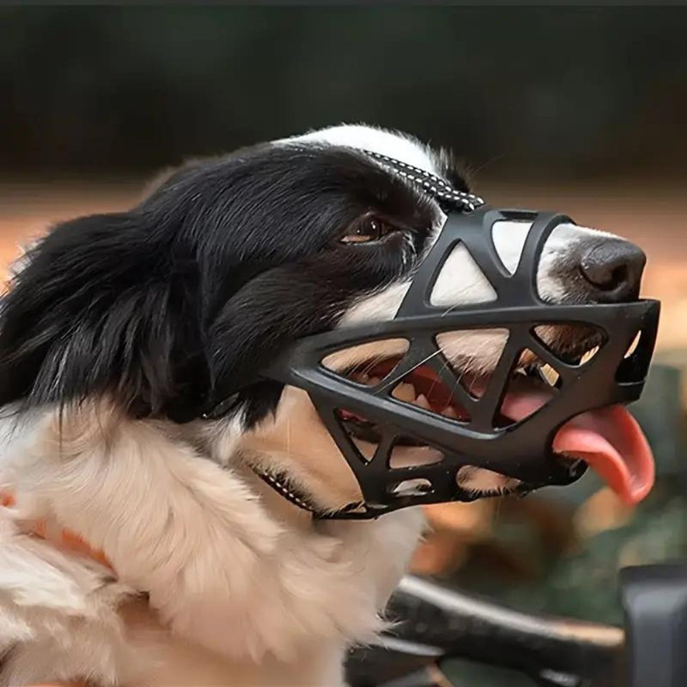 SafeBark • Museruola per Cani