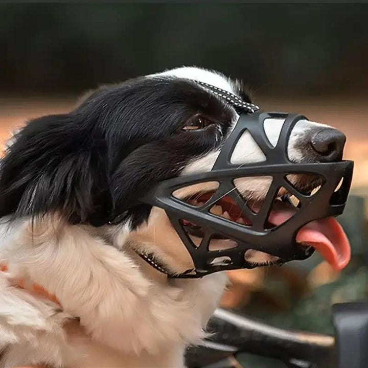 SafeBark • Museruola per Cani