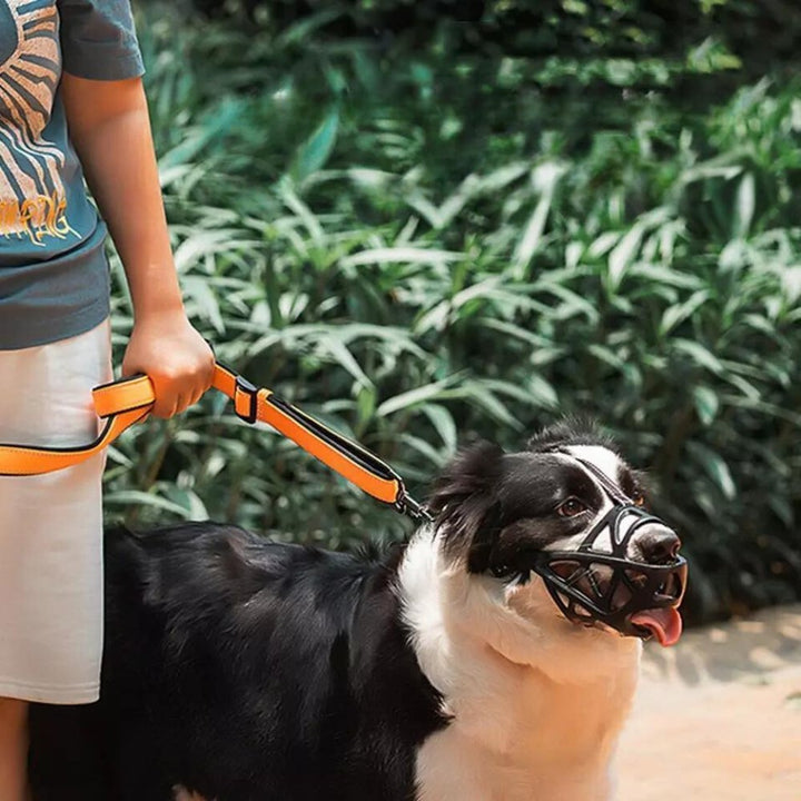 SafeBark • Museruola per Cani
