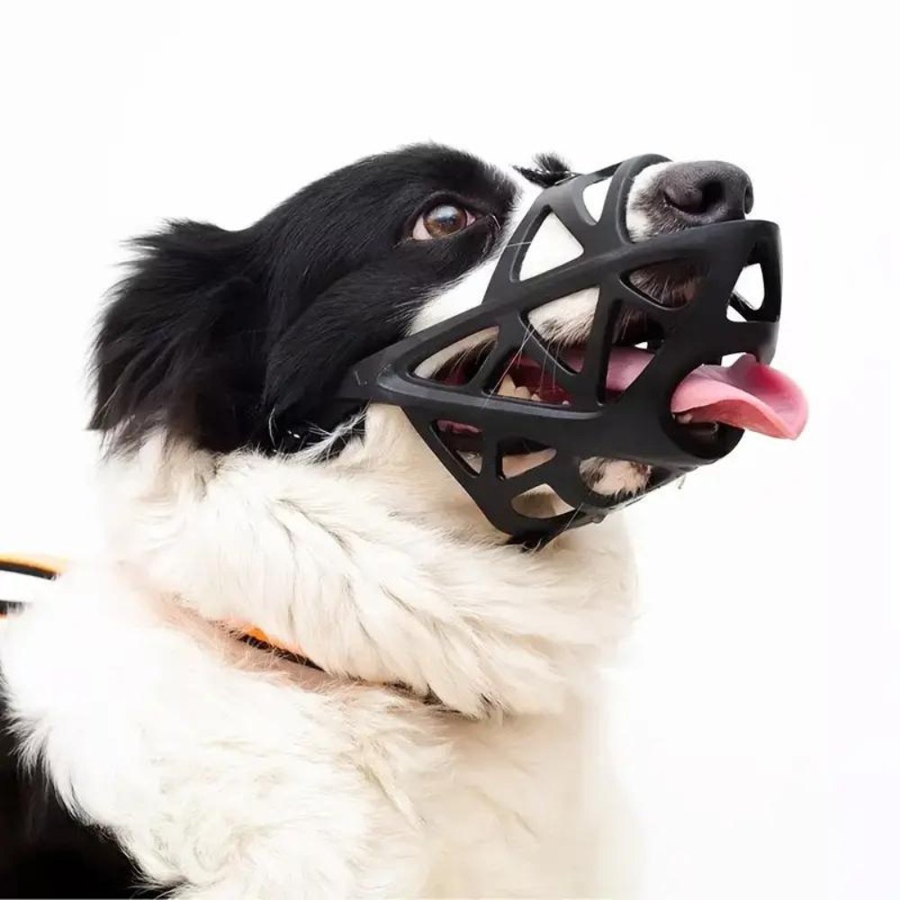 SafeBark • Museruola per Cani