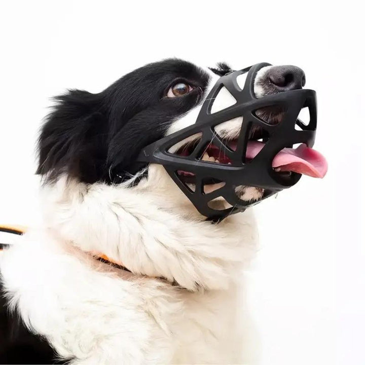 SafeBark • Museruola per Cani