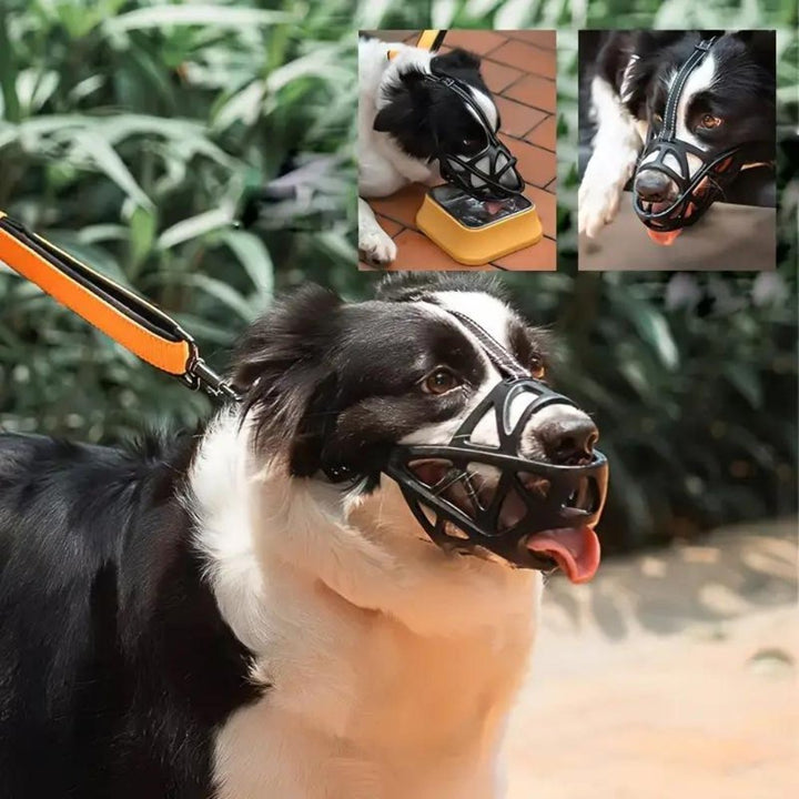 SafeBark • Museruola per Cani