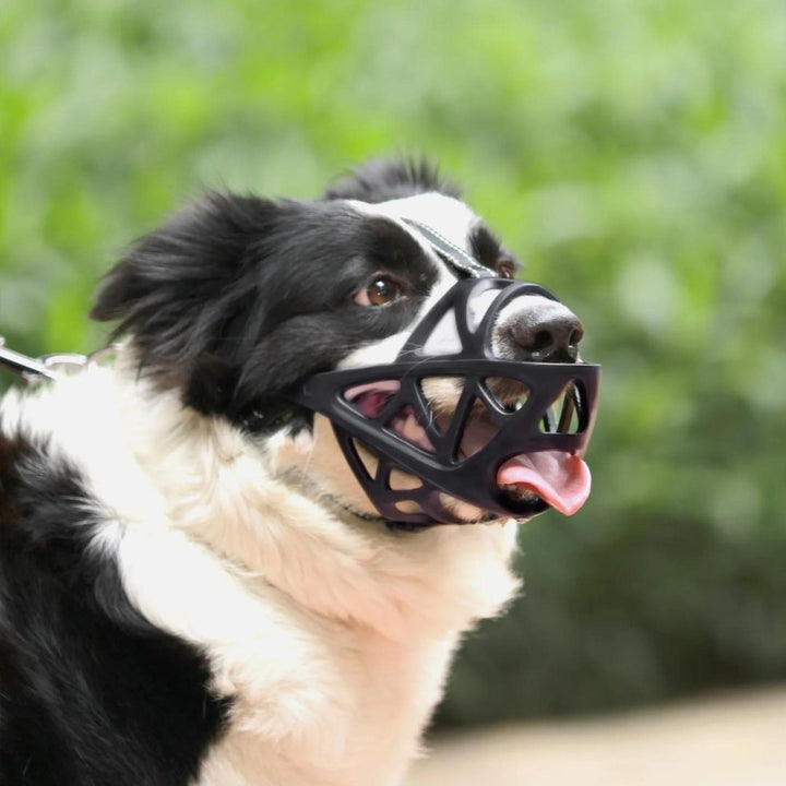 SafeBark • Museruola per Cani