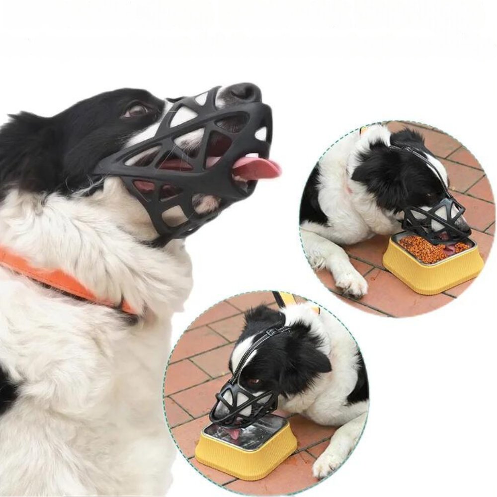 SafeBark • Museruola per Cani