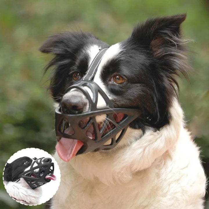 SafeBark • Museruola per Cani