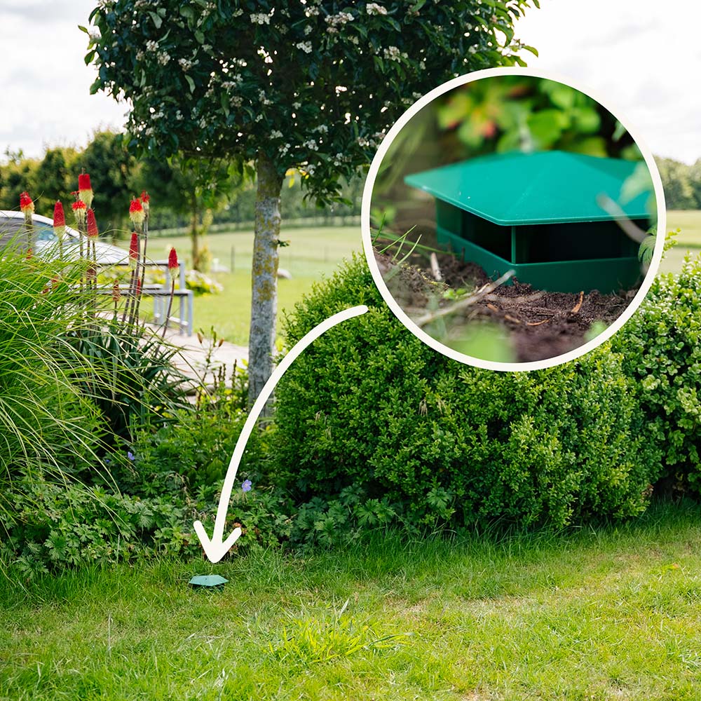 SnailTrap™ – Contrôle des nuisibles éco-responsable