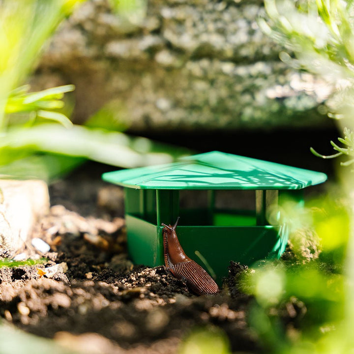 SnailTrap™ – Contrôle des nuisibles éco-responsable
