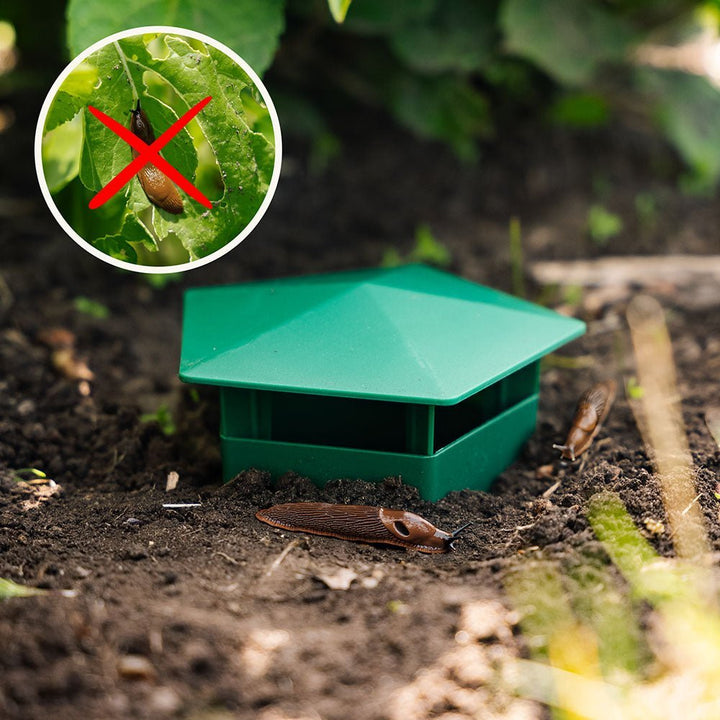 SnailTrap™ – Contrôle des nuisibles éco-responsable
