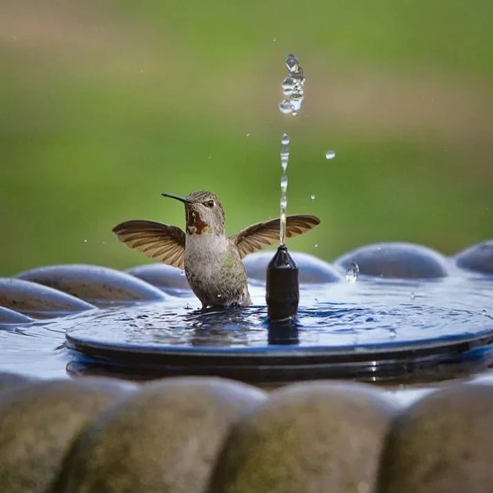 AquaBloom™ – Fontana galleggiante elegante alimentata da energia solare