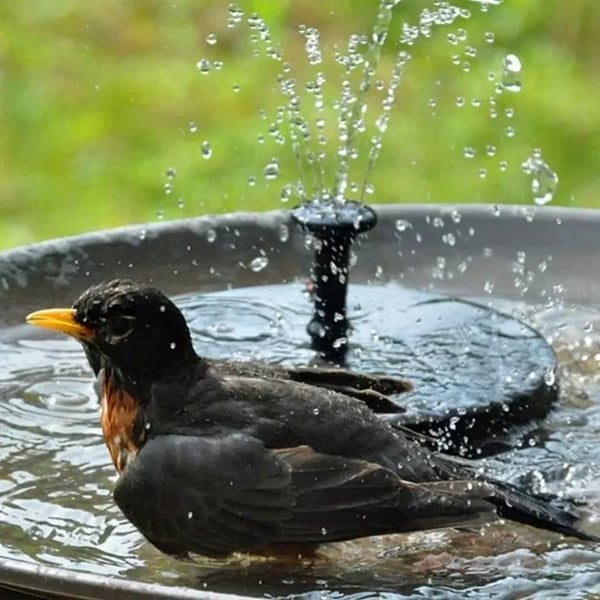 AquaBloom™ – Fontana galleggiante elegante alimentata da energia solare