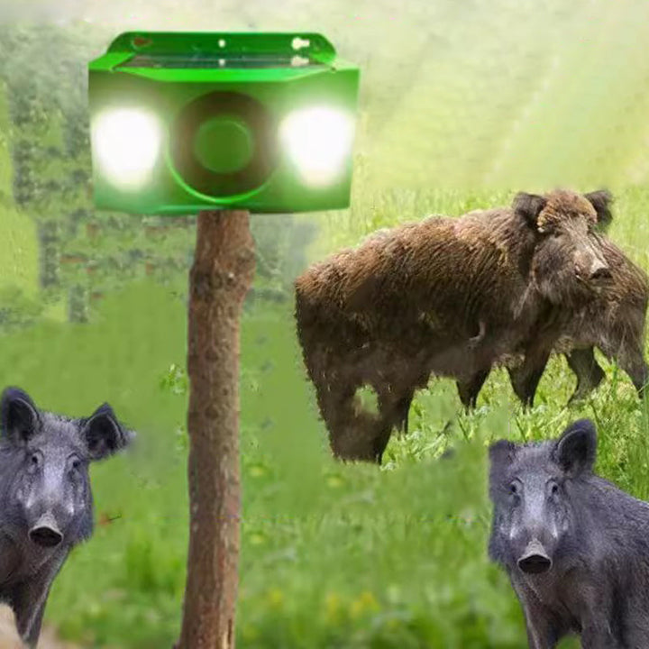 SolarDefender™ Sécuriser la Vie Extérieure