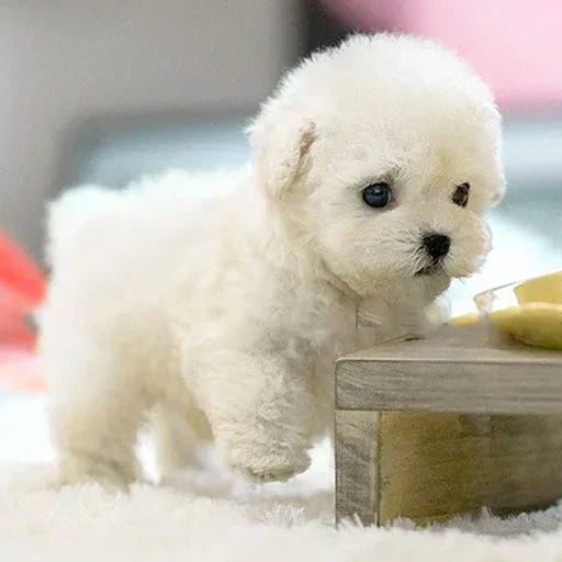 Cucciolo robot ultra-realistico da coccolare Il compagno più carino di sempre!