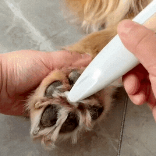 Trimmer LED per Zampe di Animali – Strumento di Cura Indispensabile per il Tuo Amico Peloso!