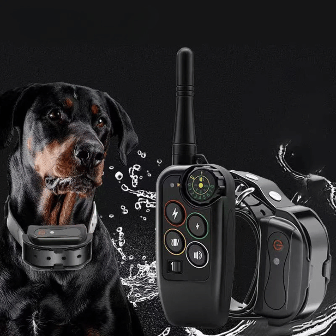 Collare E-Collar per Addestramento Cani Impermeabile a Lungo Raggio 1000m &amp; Controllo Remoto