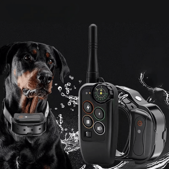 Collare E-Collar per Addestramento Cani Impermeabile a Lungo Raggio 1000m &amp; Controllo Remoto