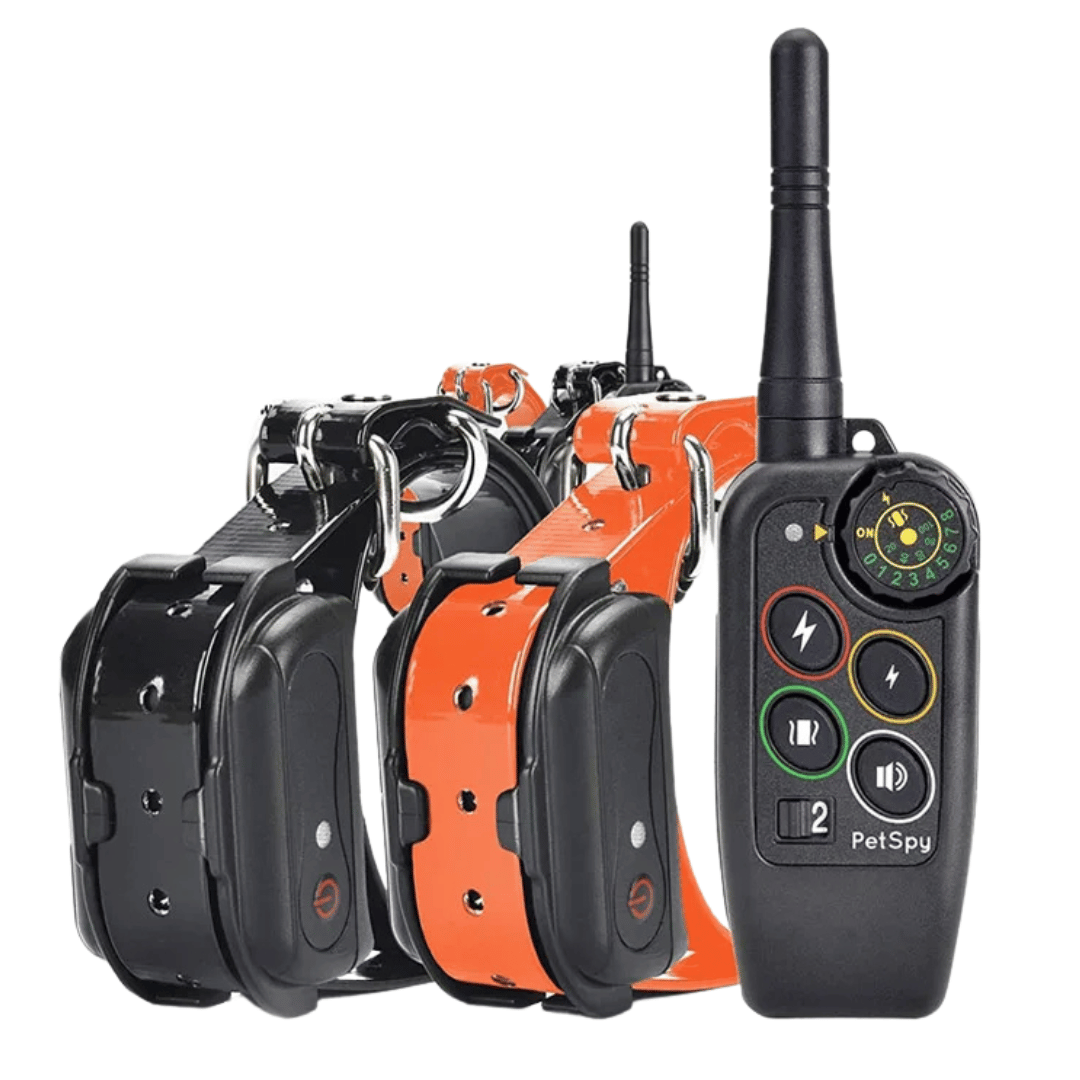 Collare E-Collar per Addestramento Cani Impermeabile a Lungo Raggio 1000m &amp; Controllo Remoto