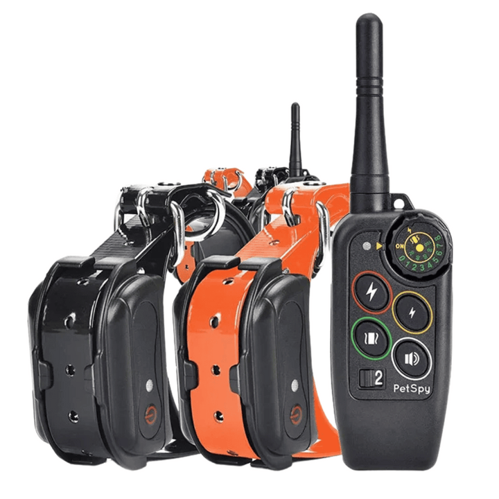 Collare E-Collar per Addestramento Cani Impermeabile a Lungo Raggio 1000m &amp; Controllo Remoto
