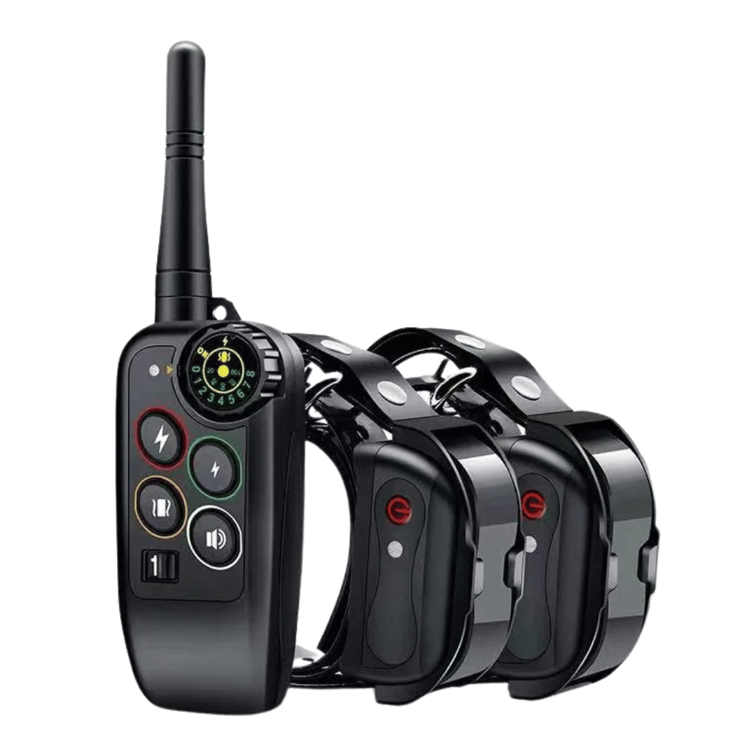 Collare E-Collar per Addestramento Cani Impermeabile a Lungo Raggio 1000m &amp; Controllo Remoto