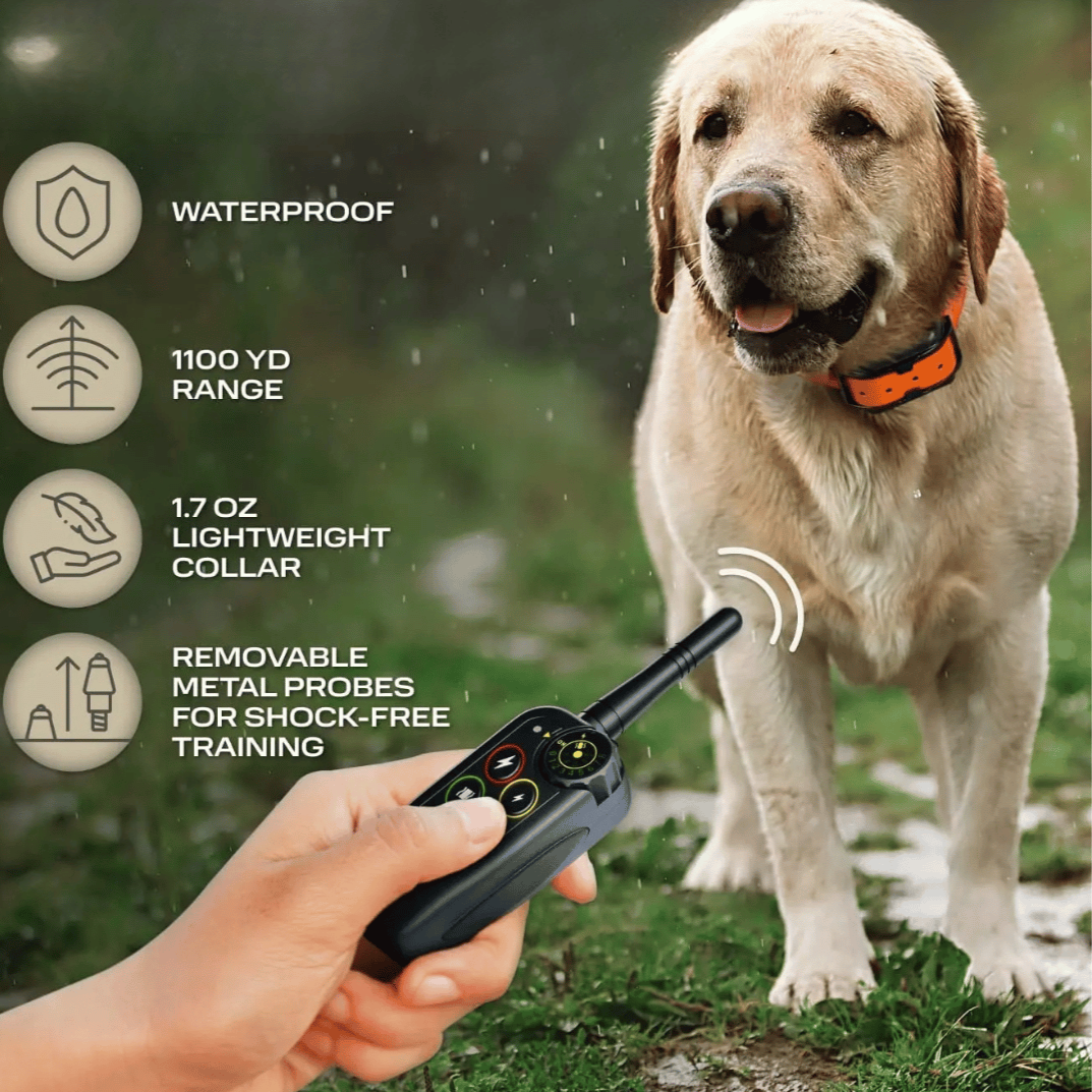 Collare E-Collar per Addestramento Cani Impermeabile a Lungo Raggio 1000m &amp; Controllo Remoto