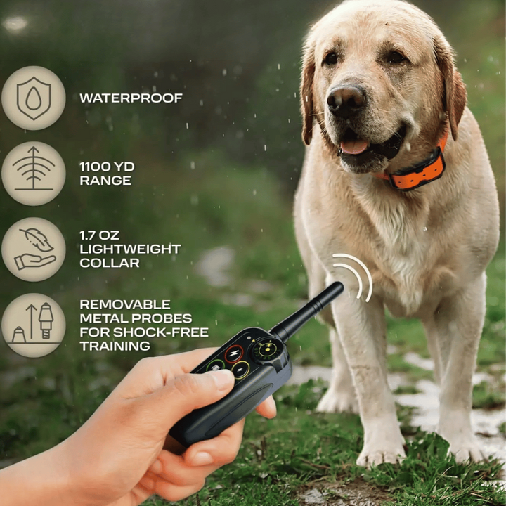 Collare E-Collar per Addestramento Cani Impermeabile a Lungo Raggio 1000m &amp; Controllo Remoto