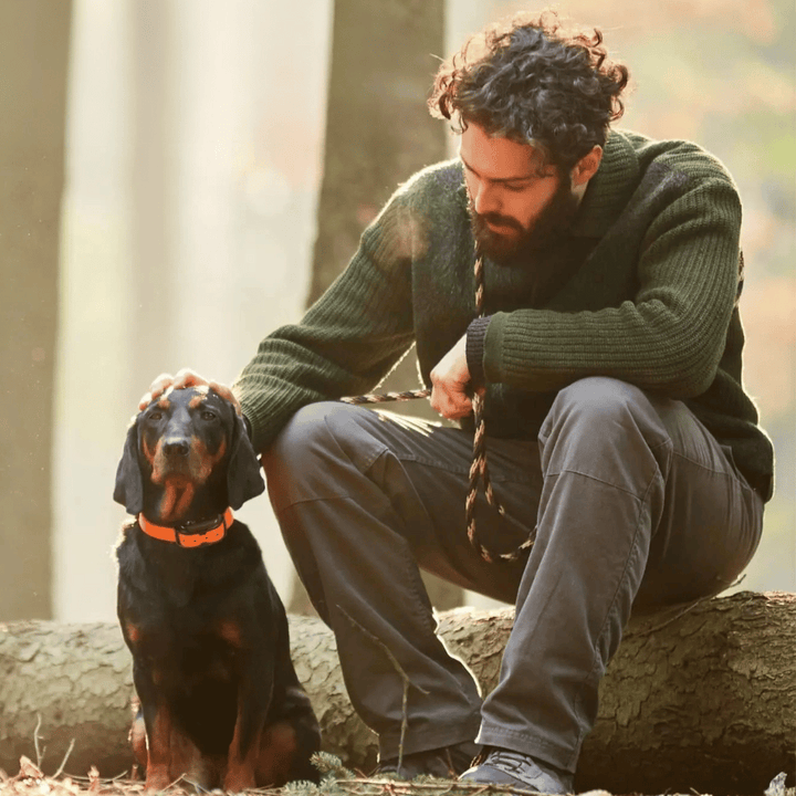 Collare E-Collar per Addestramento Cani Impermeabile a Lungo Raggio 1000m &amp; Controllo Remoto