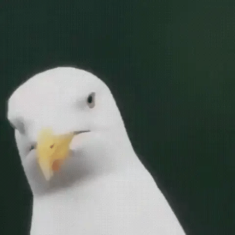Monocolo Compatto Ultra-Zoom | Lente HD, Leggero e Perfetto per Escursionismo, Osservazione degli Uccelli e Eventi Sportivi