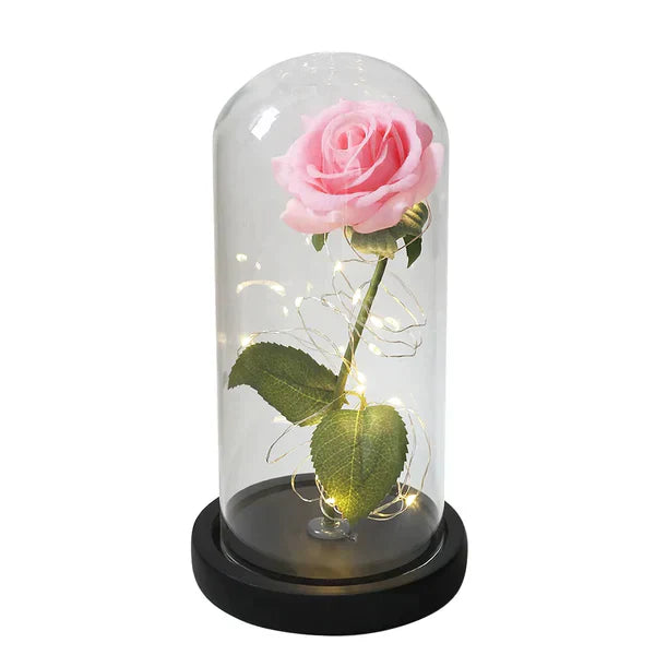 BloomAura™ Bellezza Eterna Illuminata